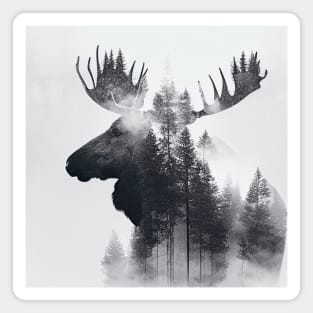 Moose Nature Outdoor Imagine Wild Free Magnet